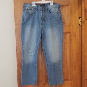 Banana Republic vintage straight ankle jeans